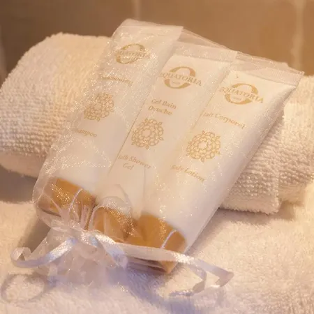 Minivilla Lilas Independante A Avec Jardin Et Piscine Jardin Et Bbq *