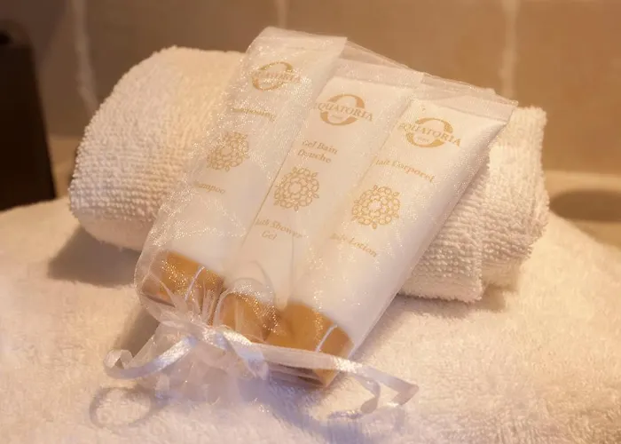 Minivilla Lilas Indépendante à Avec Jardin Et Piscine Jardin Et Bbq *